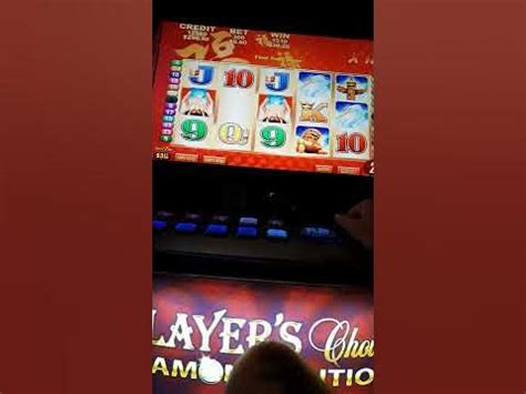 Lucky 88 Pokie win .